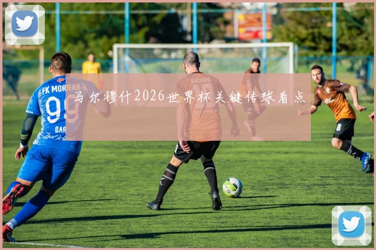马尔穆什2026世界杯关键传球看点