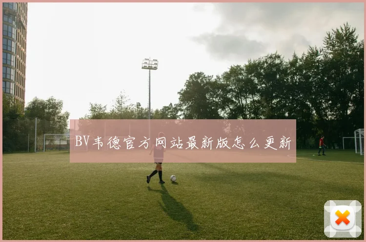 BV韦德官方网站最新版怎么更新