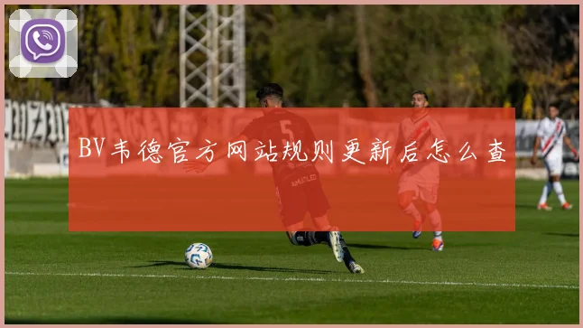 BV韦德官方网站规则更新后怎么查