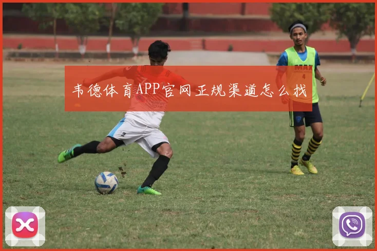 韦德体育APP官网正规渠道怎么找