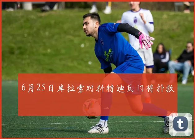 6月25日库拉索对科特迪瓦门将扑救