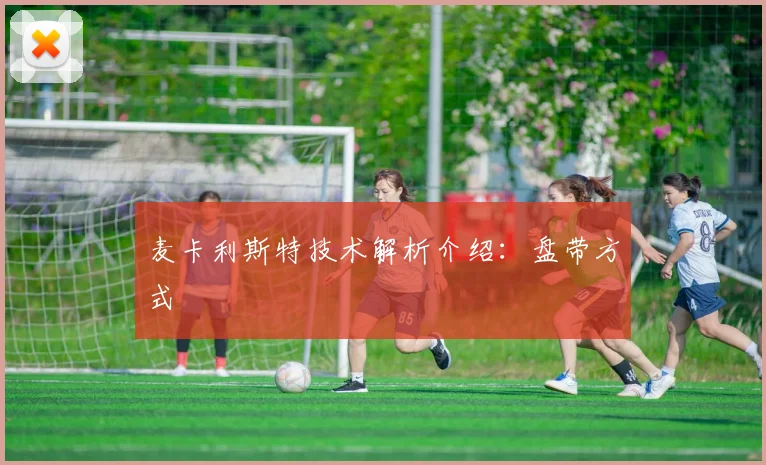 麦卡利斯特技术解析介绍：盘带方式