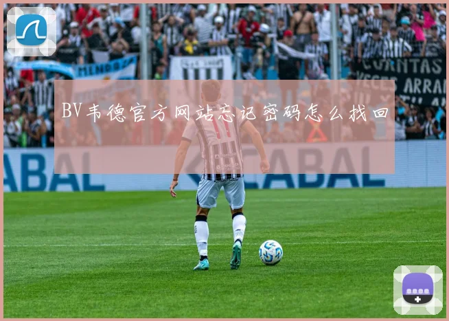 BV韦德官方网站忘记密码怎么找回