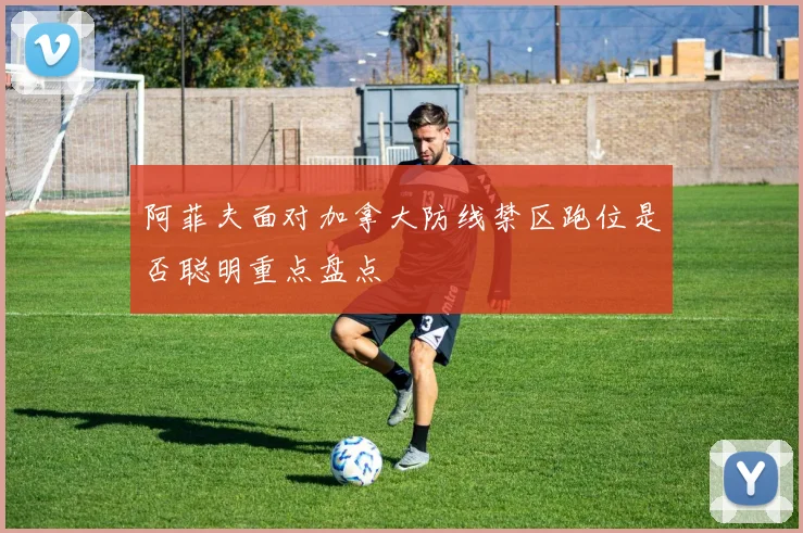 阿菲夫面对加拿大防线禁区跑位是否聪明重点盘点